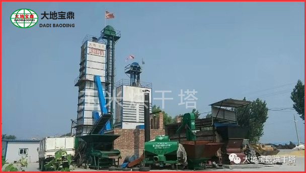 生物有機肥設備